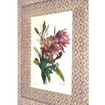 Bromeliad on Ikat