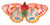 pink and orange butterfly