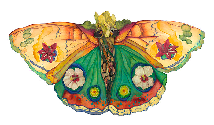 orange and green butterfly