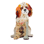 Cavalier Red