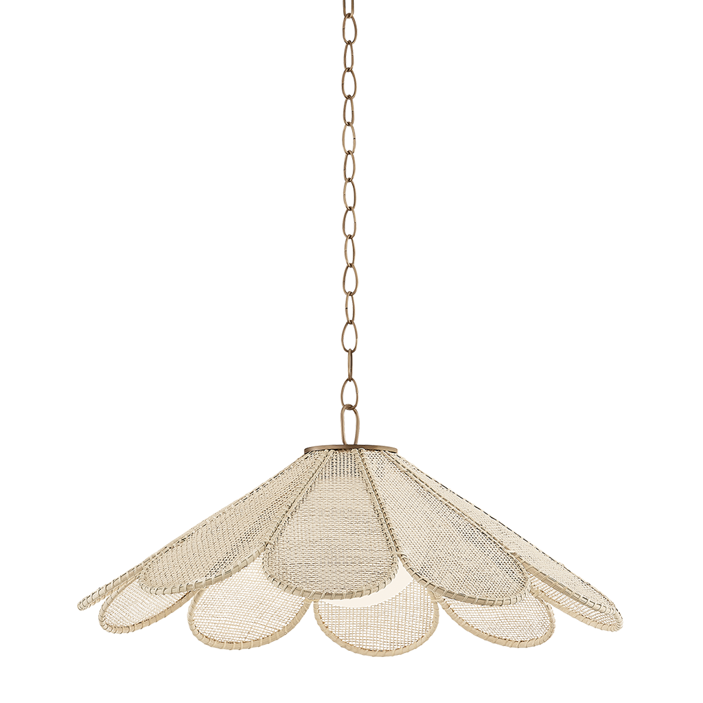 Decorative pendant light with mesh shade on a white background