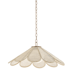 Decorative pendant light with mesh shade on a white background