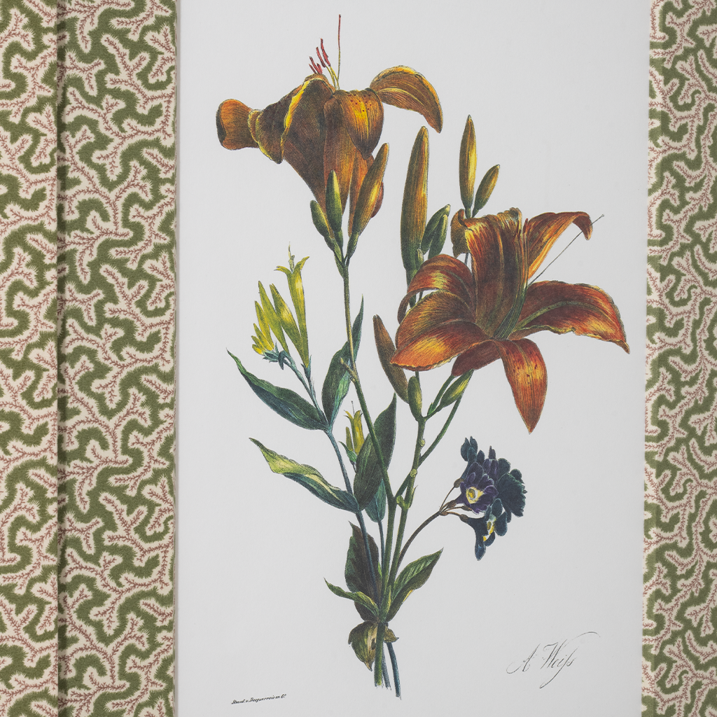 Lilies on Green Dulcie