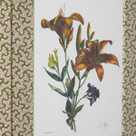 Lilies on Green Dulcie