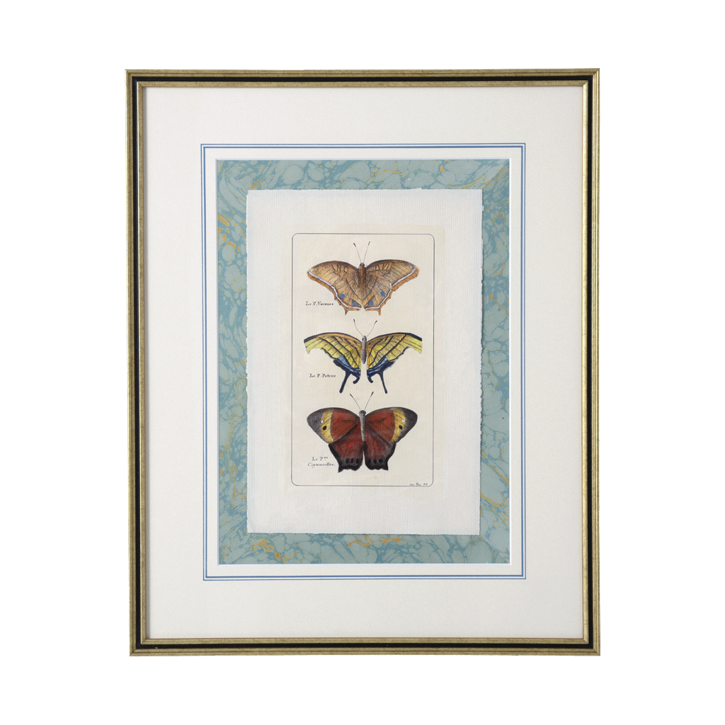 Framed artwork of butterfly illustrations on a white background