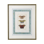 Framed artwork of butterfly illustrations on a white background