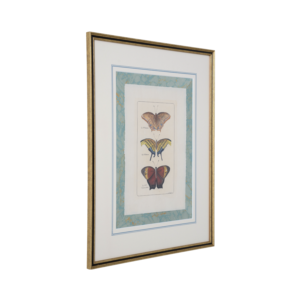 Framed artwork with butterfly illustrations on a white background