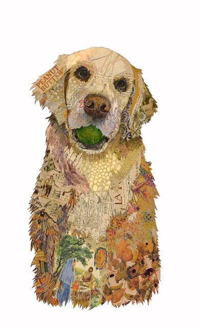 Collage of a dog holding a ball with various textures and patterns on a white background
