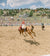 A cowboy rides a bucking horse in a sandy rodeo arena, with a large crowd of spectators and a hillside town in the background under a blue sky with clouds.