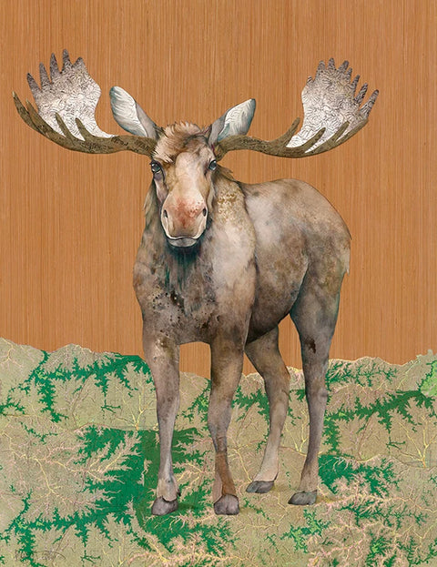 Art print of a moose