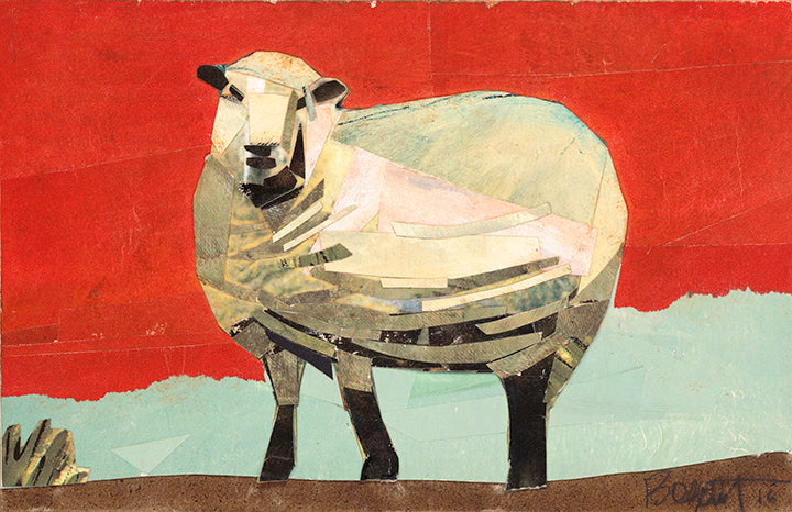 Melissa’s Lamb