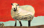 Melissa’s Lamb