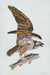 Osprey with Fish Art Print by Brenda Bogart