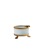 Antique Opaline Tray on Bronze Lion Paw Feet