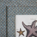 Starfish on Flora