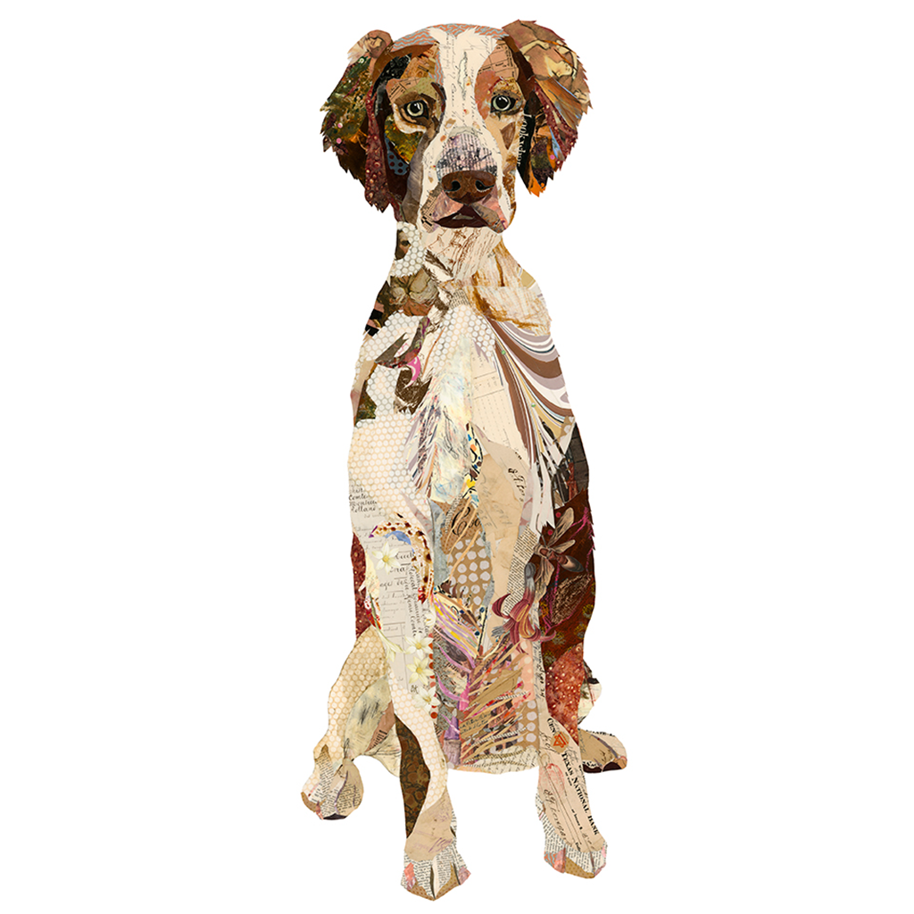Chester Brittany Spaniel - Main Image