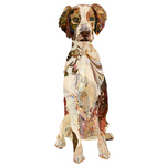 Chester - Brittany Spaniel