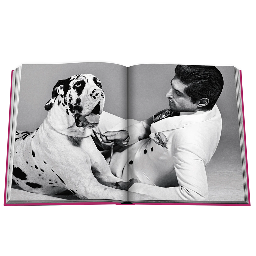 Chic Dogs