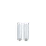 Ribbed Clear Salt and Pepper Set