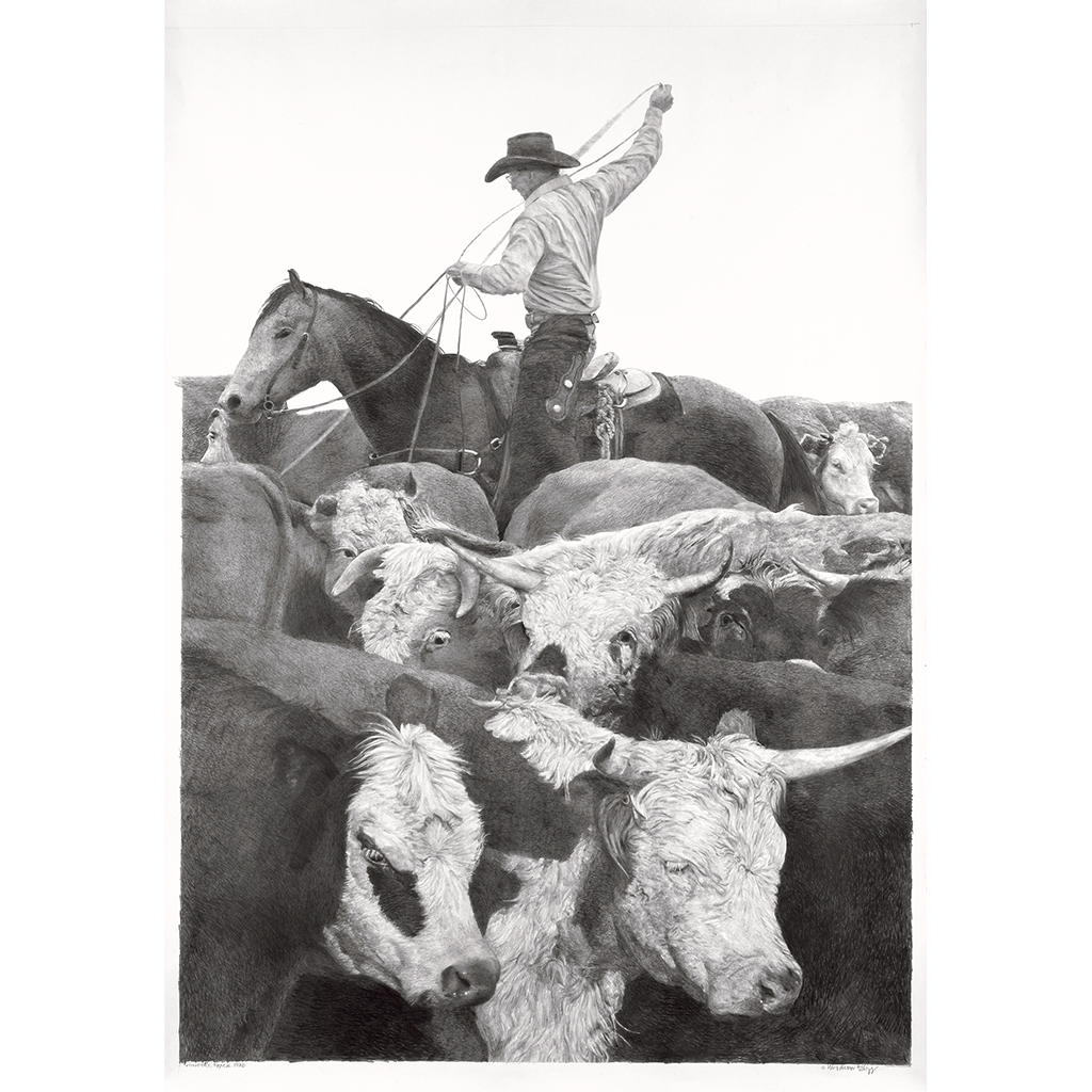 Black and white illustration of a cowboy on horseback among cattle