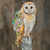 A stylized artwork of a barn owl perched on a textured post, with one wing filled in with a colorful collage of leaves, flowers, and small figures against a mottled brown background.