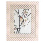 Nogoma on Peach Blossom Branch