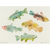 A watercolor-style art print showing five fish in soft pastel tones on an off-white background, with handwritten text at the bottom left reading '5 Fish: Pike, Perch, Pikelet, Pike, Pike' and a signature at the bottom right.
