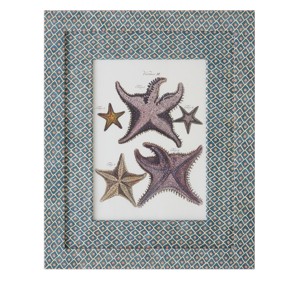 Starfish on Flora