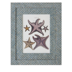 Starfish on Flora