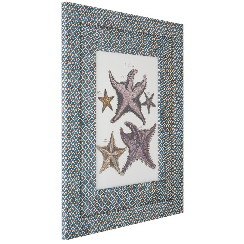 Starfish on Flora