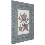 Starfish on Flora