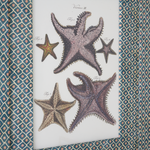 Starfish on Flora