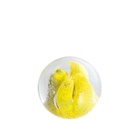 Bright Yellow Paperweight