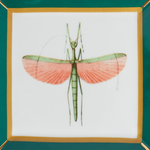 Libellula Trinket Tray