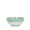 bowl with teal border detail