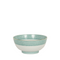 bowl with teal border detail