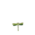 green dragonfly napkin ring 