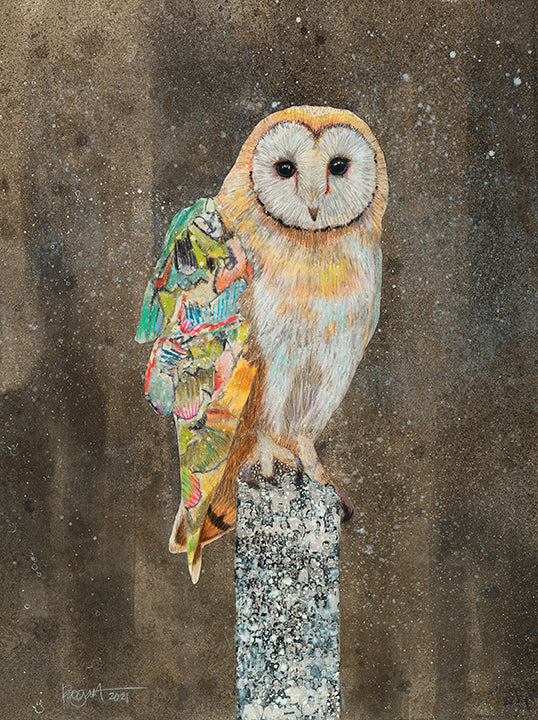 Brenda Bogart Barn Owl on a Snowy Night 1