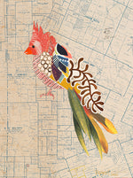 Brenda Bogart Bird 47