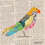 Brenda Bogart Bird 51