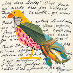 Brenda Bogart Bird 56