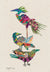 Brenda Bogarts Bird Totem 5 Art Print