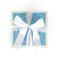 Blue Print Gift Wrap top view