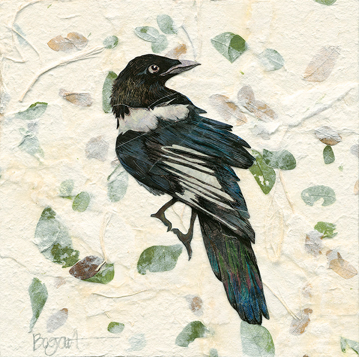 Magpie Store Magpie 1 – Blue Print
