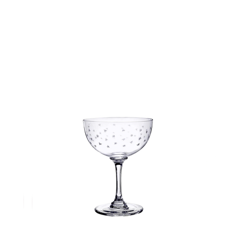 Celestial Champagne Coupe 