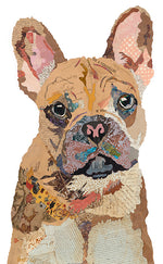 Brenda Bogart French Bulldog