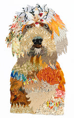 Brenda Bogart Golden Doodle