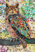 Brenda Bogart Great Horned Owl