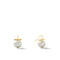 Gray pearl earrings with 14k gold polished bar and back