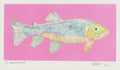 Brenda Bogart Fish/Rainbow Trout 1 print